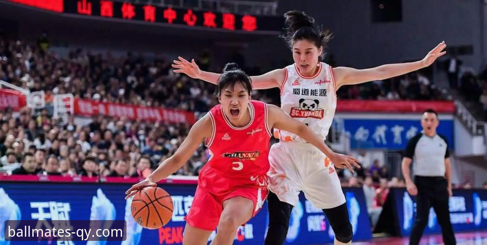 WCBA总决赛G1复盘：四川女篮创纪录大胜详解