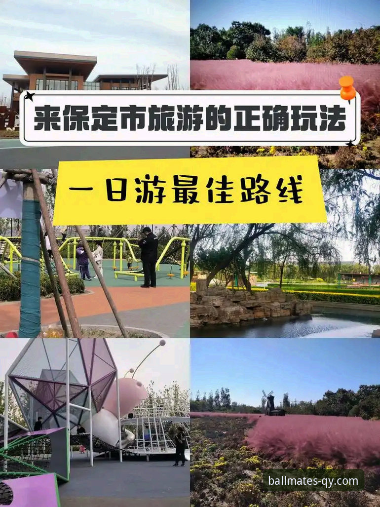 2026千亿球友会精彩旅程完整指南：从新手到高手的全方位解析